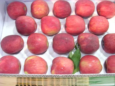 I.P.M껍질째먹는 사과10kg(품절)